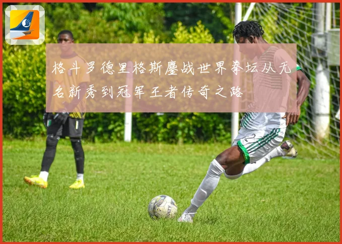 格斗罗德里格斯鏖战世界拳坛从无名新秀到冠军王者传奇之路