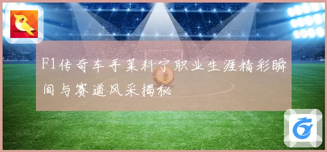 F1传奇车手莱科宁职业生涯精彩瞬间与赛道风采揭秘