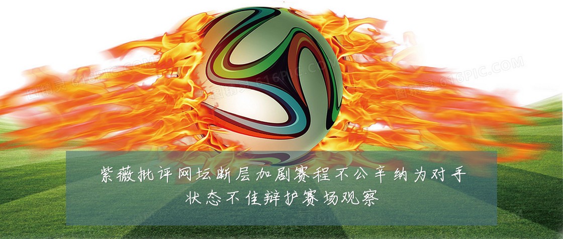 紫薇批评网坛断层加剧赛程不公辛纳为对手状态不佳辩护赛场观察